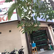 kurnia widi 22102548134